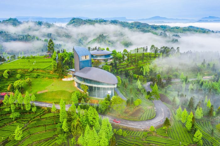 張佳豪-《茶客空間新景》-13795545280拍攝於止戈鎮青槓坪村(1).jpg