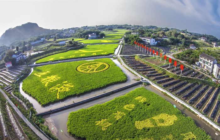 图片3
