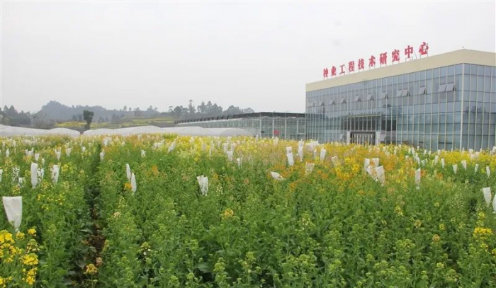 种业工程技术研究中心