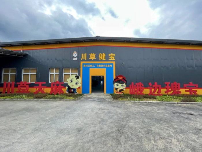 茗新村乌天麻立体种植基地
