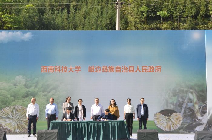 签约仪式