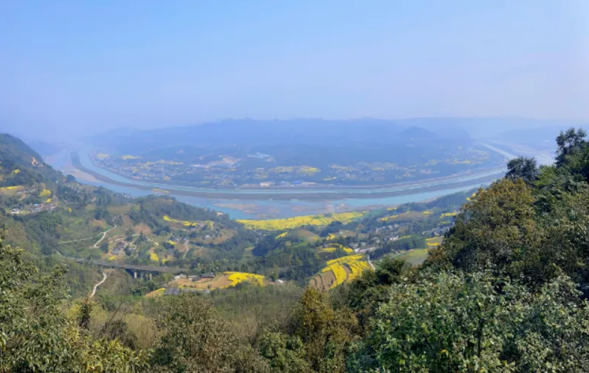 沙湾区轸溪镇寨子村