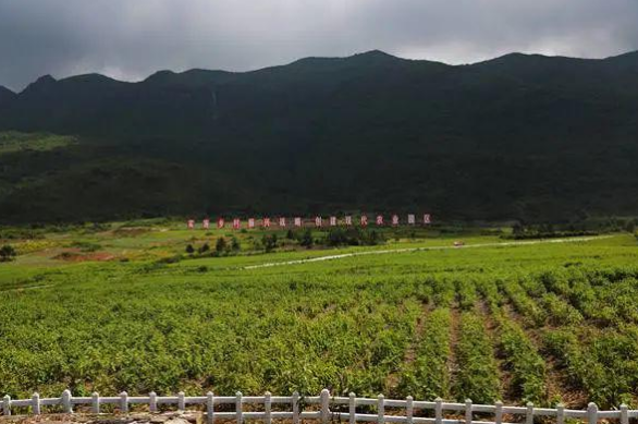 金口河区永胜乡民主村