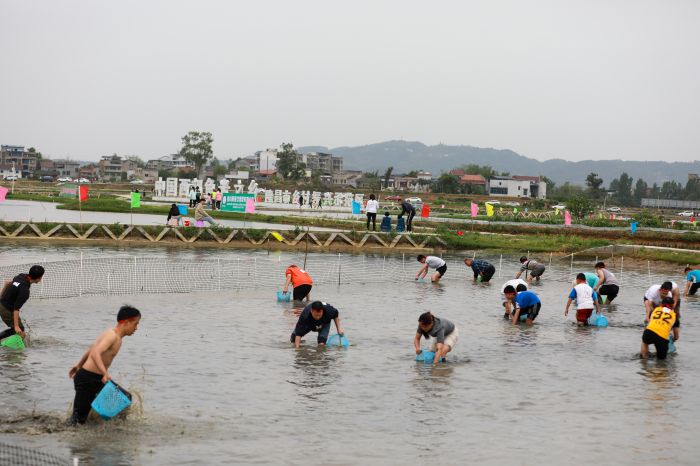 胡家分会场摸鱼活动.jpg