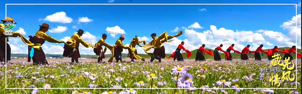图片11.png