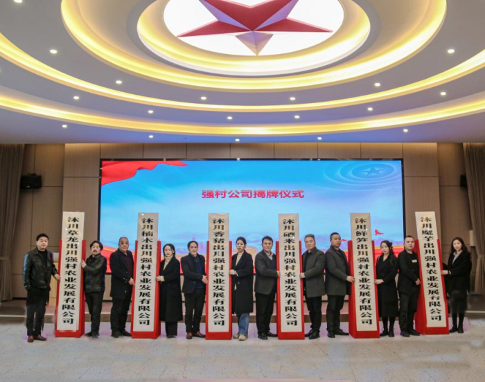 “强村公司”举行揭牌仪式