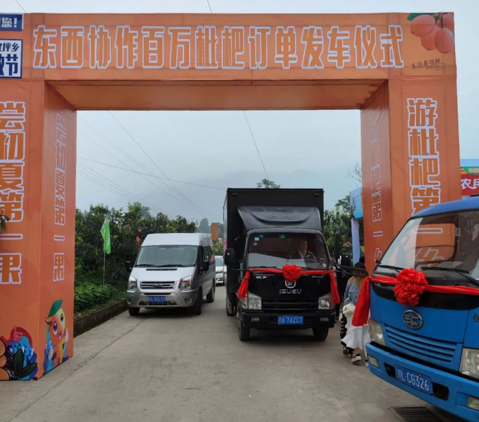 东西协作“百万枇杷”订单成功发车