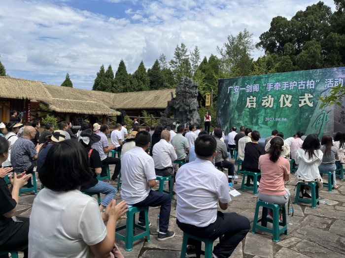 图5
