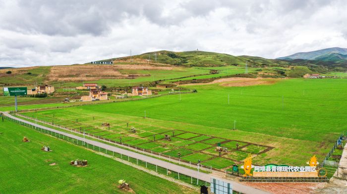 DJI_0423