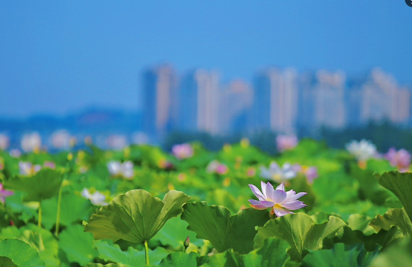 QQ截图20230616113016.png
