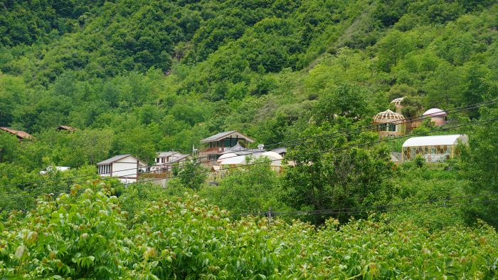 DSC00289
