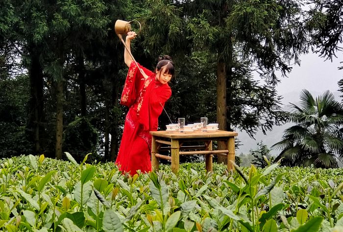 微信图片_20230617204015_副本
