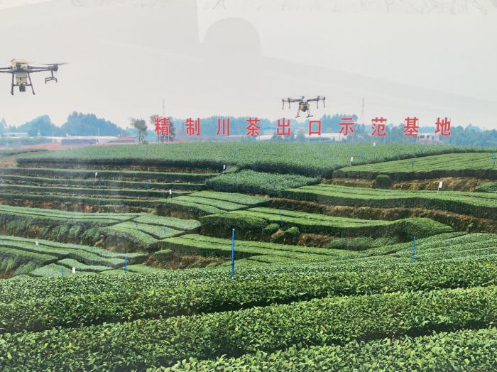 无人机喷洒施肥