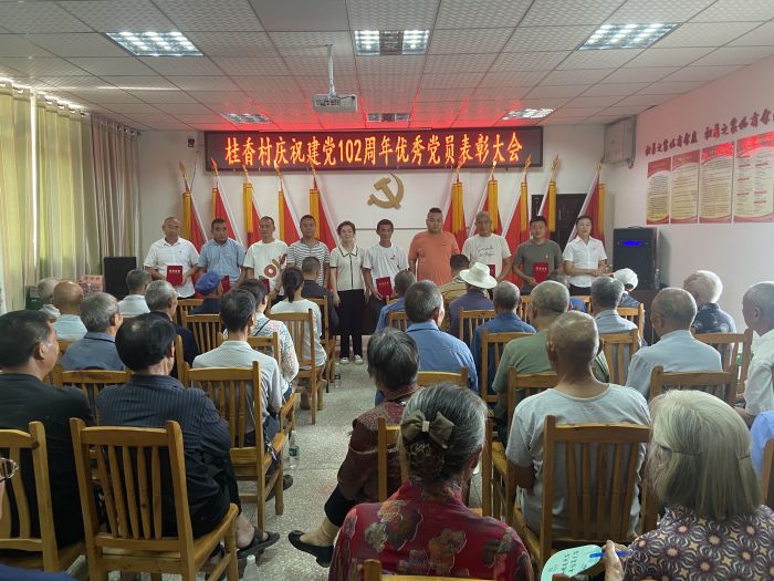 桂香村第一书记郭瑞为优秀党员颁奖.jpg