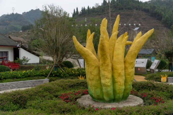 沙湾区中药材现代农业园区