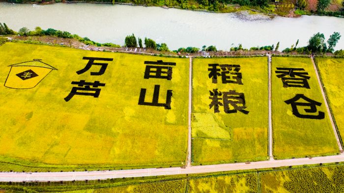 粮经复合园思延片区