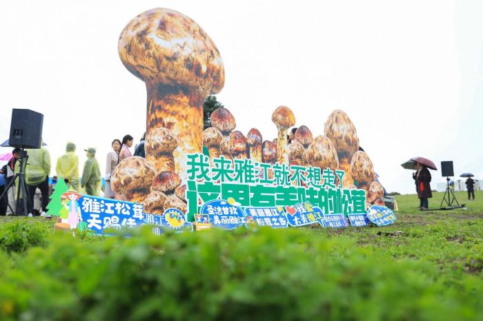 图一.jpg