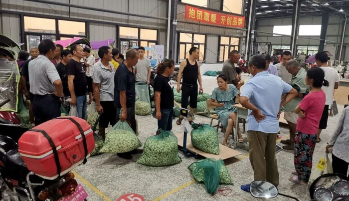 园区农产品收购市场