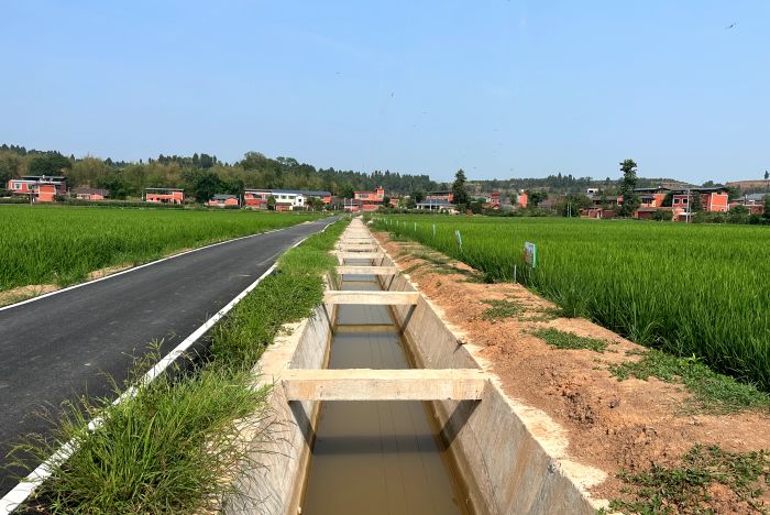 水池村粮食种植基地内的渠道里水流不断.jpg