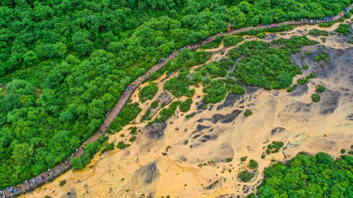 DJI_0767