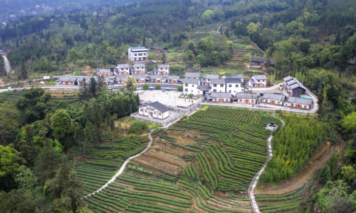 中国传统村落：马边县荍坝镇茶叶村