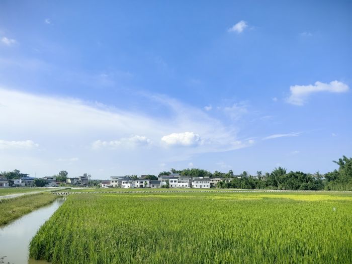美丽的同心村.jpg