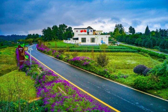 DJI_0088(16)