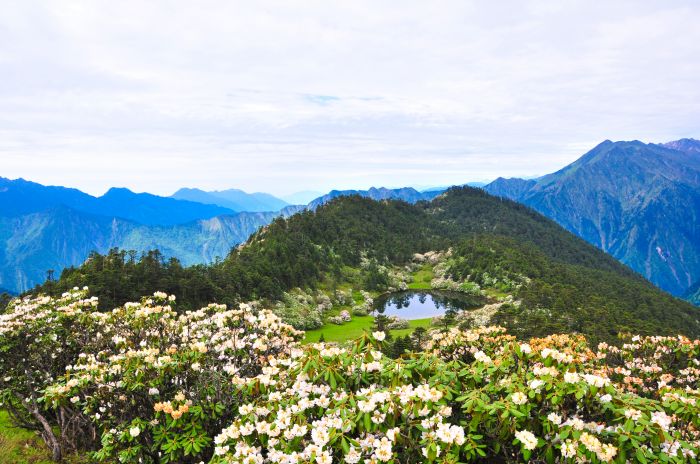 16-2012年6月李泞君拍摄于大川河景区九里岗（海拔高度3500米）
