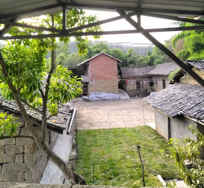 整治后的微花园