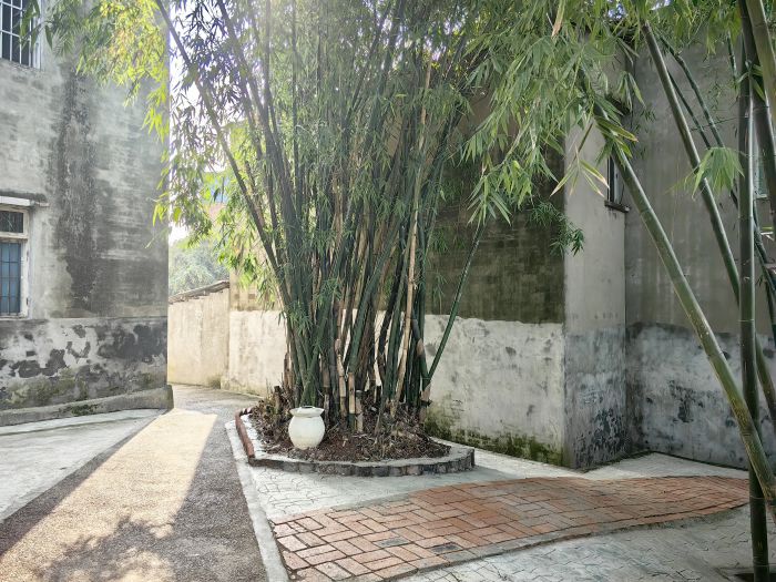 蒲芦山院落一隅.jpg