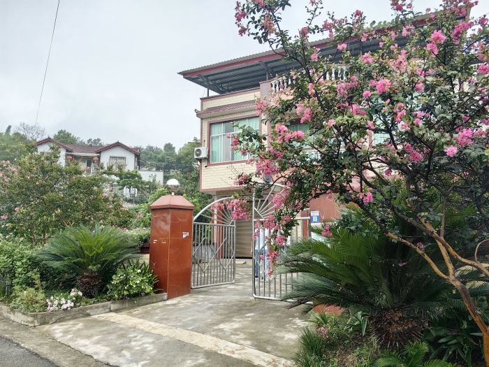 梨园村花香扑鼻的美丽院落.jpg