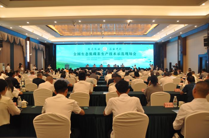会议现场