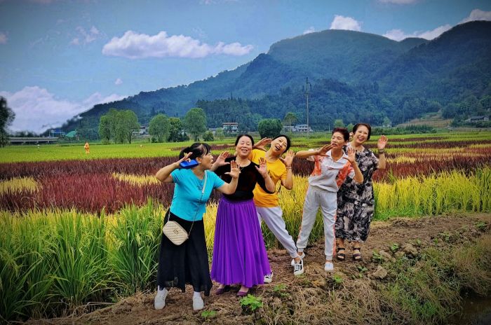 峨眉南山打卡