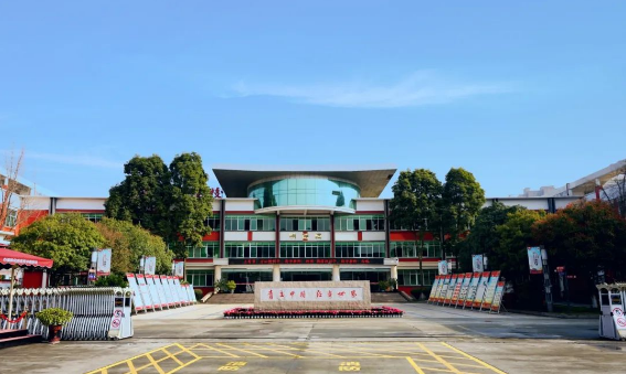 图片4