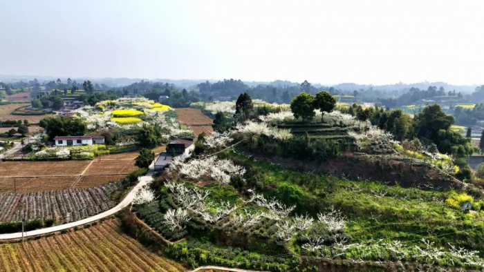 农旅融合的舞雩镇银桥村