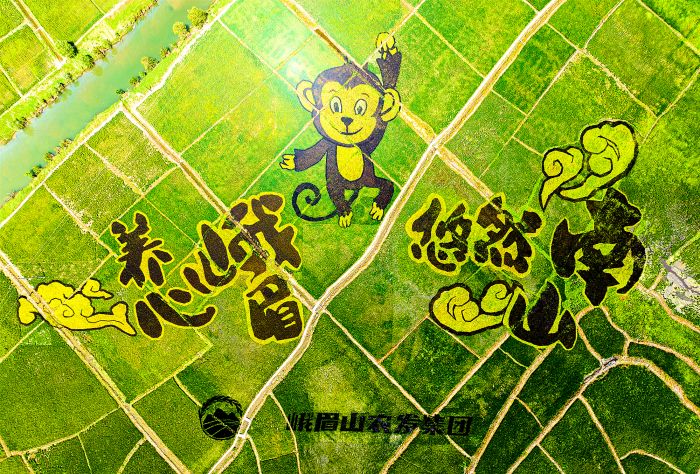“养心峨眉，悠然南山”（蒋小飞 摄影）