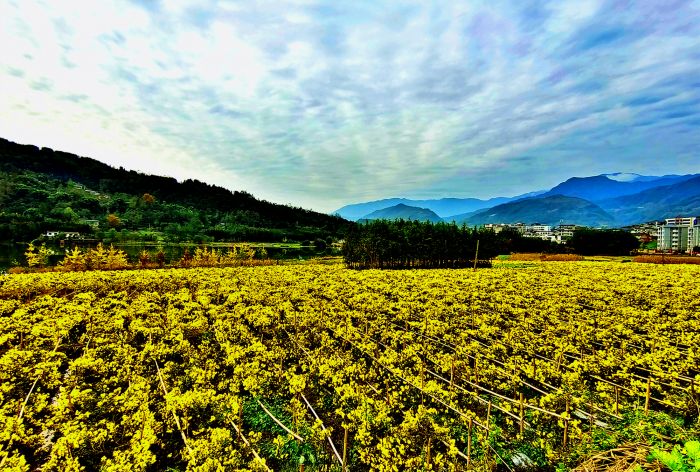 IMG_20211109_011455_副本