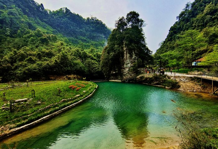 IMG_20220409_160436_副本_副本