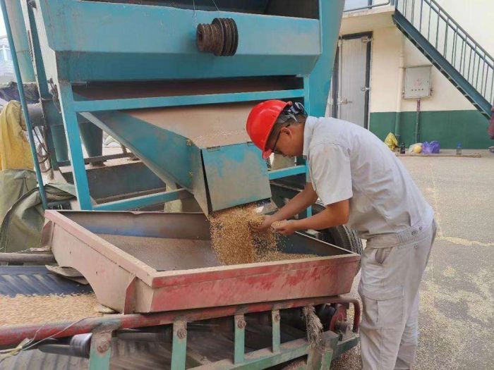 农发行已先期安排1500亿元信贷资金用于夏粮收购
