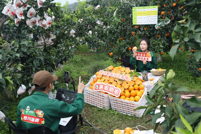四川邮政总公司助农直播带货.jpg