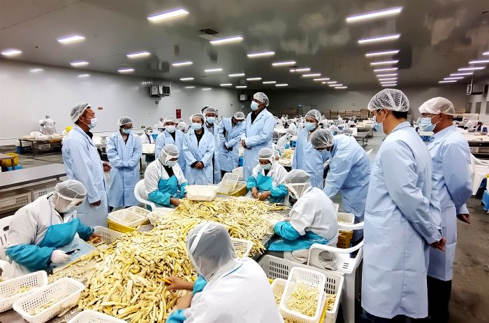 微信图片_20231110083303_副本