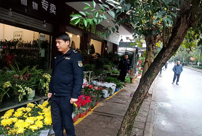 图片2_副本_副本