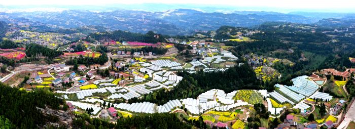 黄猫垭农文旅融合示范农业园区（刘徽  摄）.jpg
