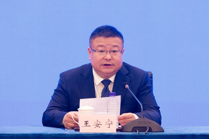 王安宁.jpg