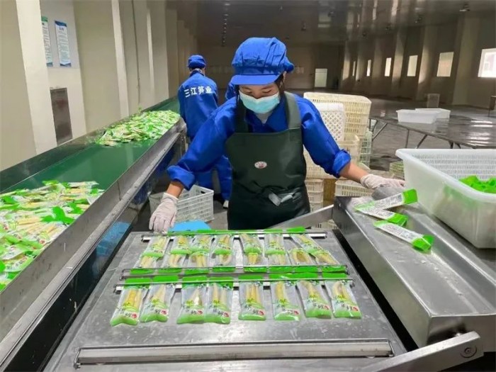 乐山三江笋业公司忙于生产