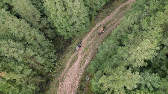 DJI_0481.MP4_20240206_095824442.jpg