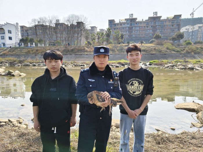 超暖！德阳警民联手救助国家二级保护动物“猴面鹰”