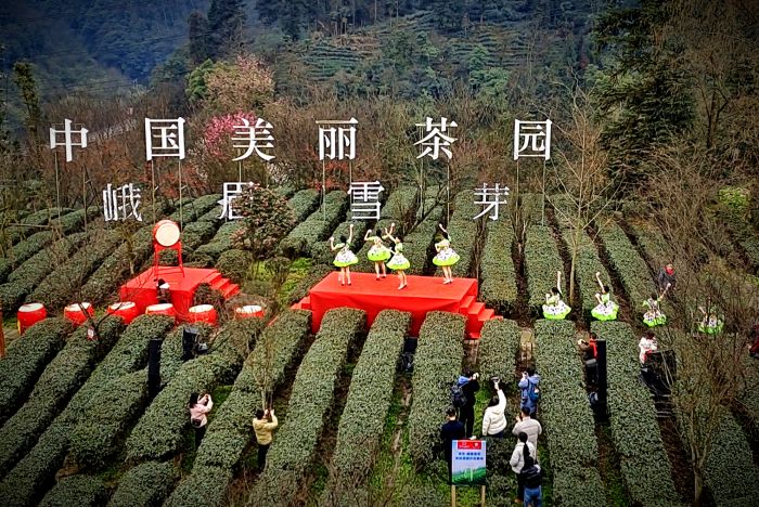 微信图片_20240229224605_副本