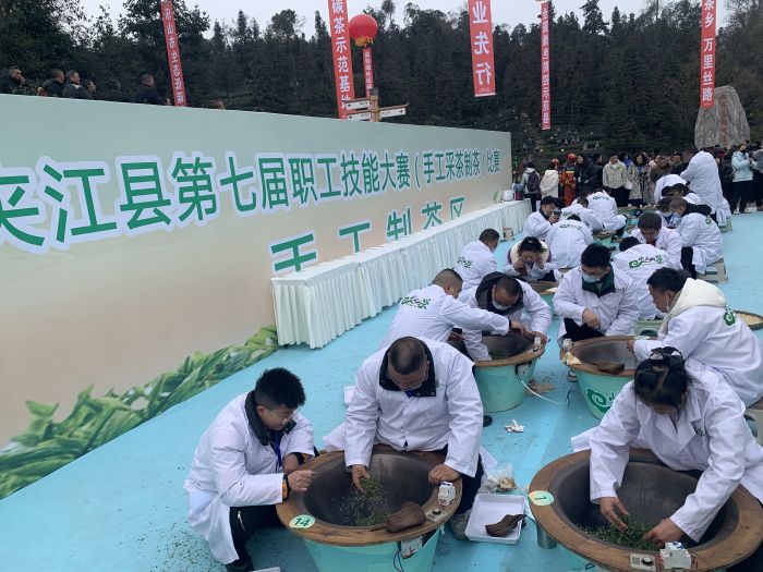 制茶比赛现场