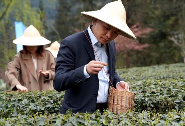 图片4_副本